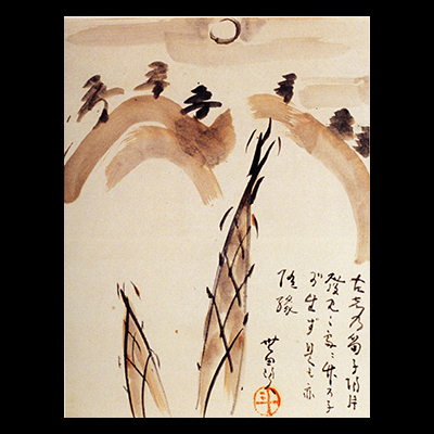 筍の図