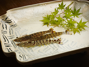 【おいしいうつわ】 Exhibition of Appetizing Tableware