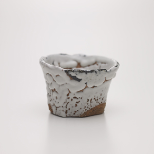 【しろいやきもの】Exhibition of White Pottery