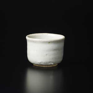 【双頭の酒器展】Exhibition of Tokuri, Bizen & Guinomi, Karatsu