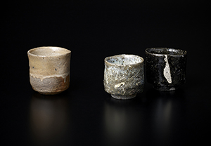 【双頭ノ酒器展】 Exhibition of Tokuri, Bizen & Guinomi, Karatsu