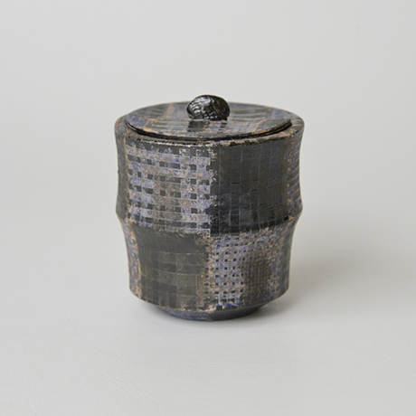 「No.18　前田正博　色絵茶器 / MAEDA Masahiro　Tea caddy, Iro-e」の写真　その1