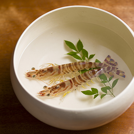 【おいしいうつわ】Exhibition of Appetizing Tableware