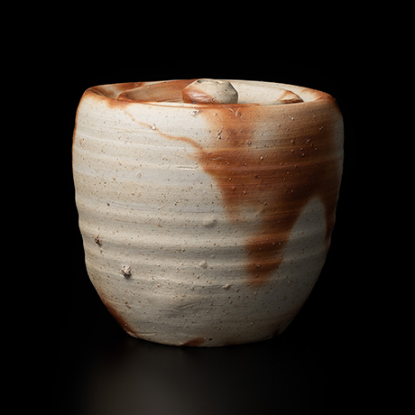 「No.52 備前水指 / Water container, Bizen」の写真　その1
