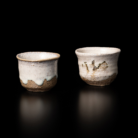 【双頭ノ酒器展-1】Exhibition of Bizen Tokuri & Karatsu Guinomi(Part1)