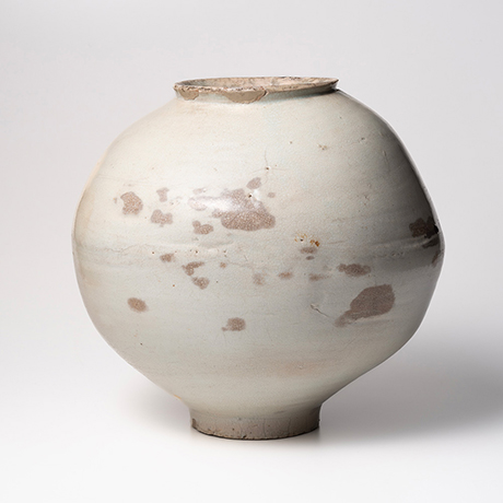 【しろいやきものⅢ】Exhibition of White Pottery Ⅲ